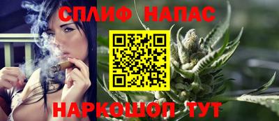 мдпв Гусев