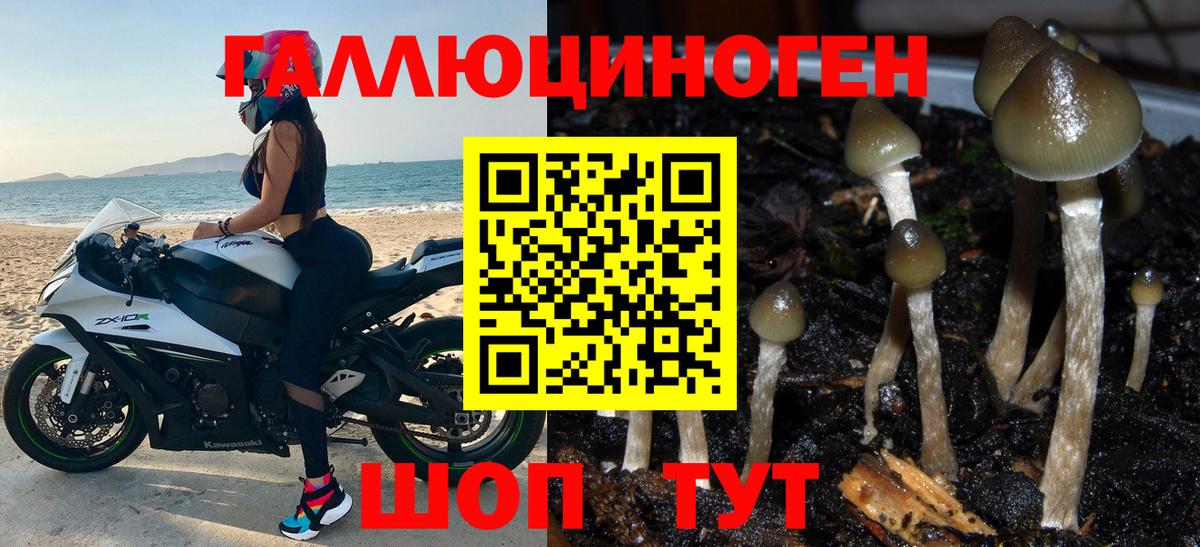 Надым  Псилоцибиновые грибы мицелий  Вход с VPN 